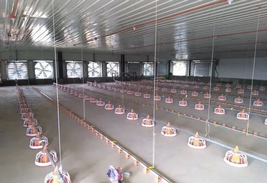 Продается оборудование для птицефабрикы!!!