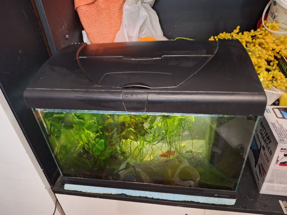 Аквариум ferplast capri 50