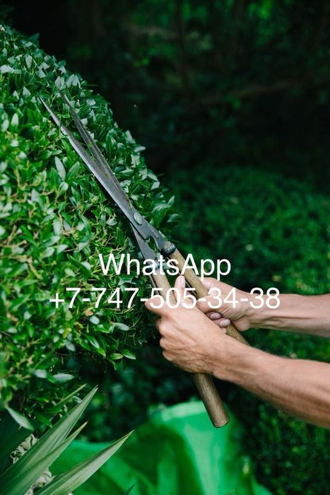 Уборка территорий и помещений