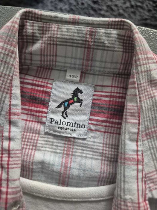 camasa Palomino 122cm
