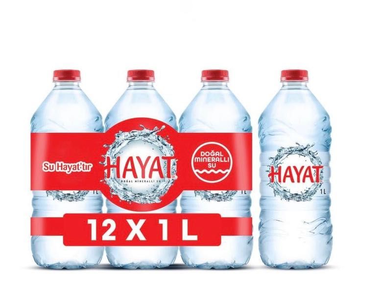Natural water HAYAT Su