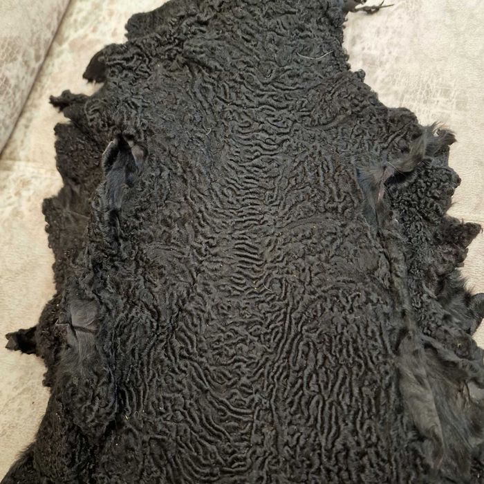 Продам шкурки каракуля, козлика
