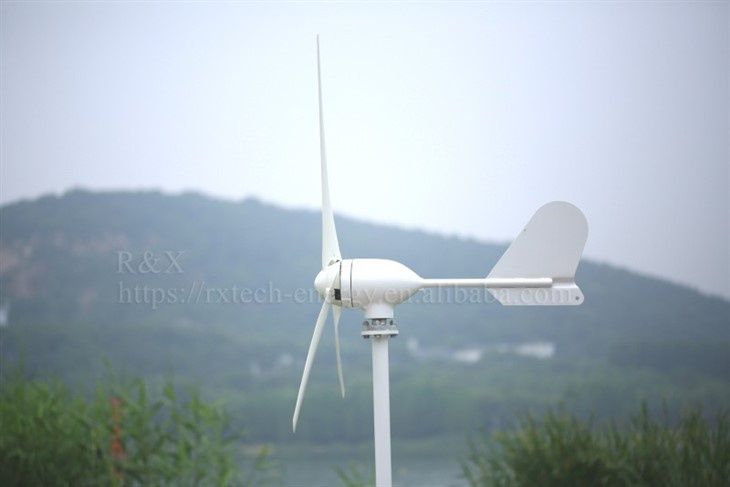 Turbina eoliana 48v/600w