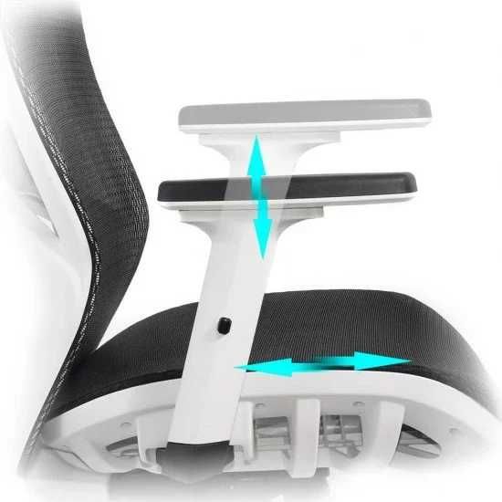 Scaun Birou Ergonomic DS9503 Multiblock Reglaj lombar LIVRARE GRATUITA