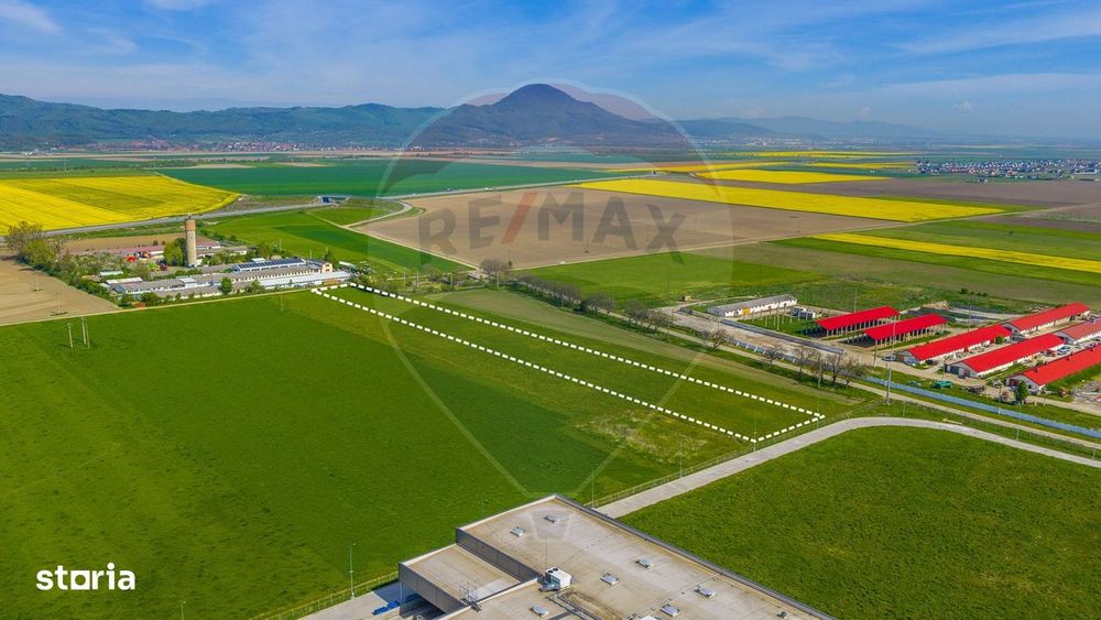 Teren extravilan 5.009 mp / Râșnov/ COMISION 0%