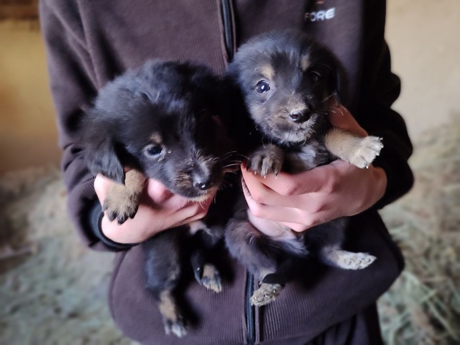 Яхши инсонларга хадия киламан