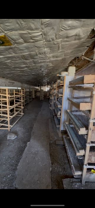 База (для животновотства)