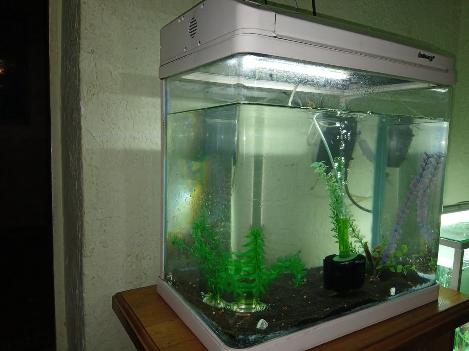 Продаётся Аквриум