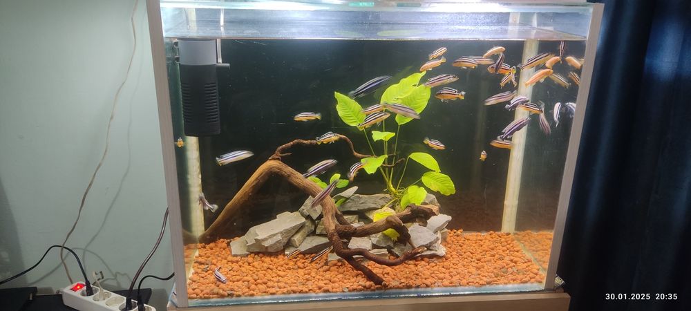 Продам аквариум на 130 литров