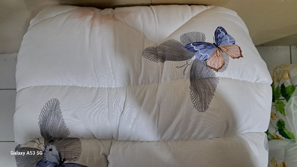 Kapalak , oqqush korpalar