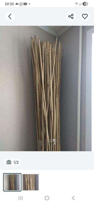 Продам бамбук сухой