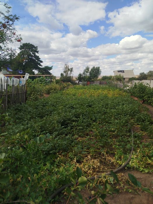 Продам дачу Уралочка