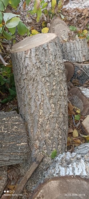 Орехов материал  .