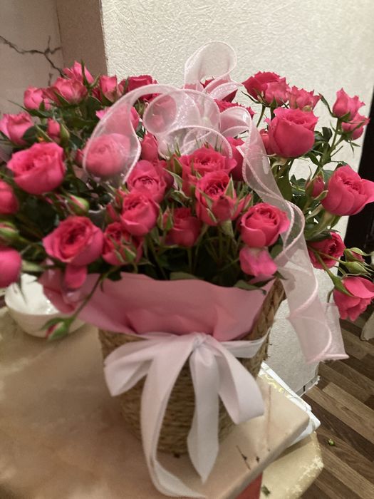 Продаю цветы свежие Север