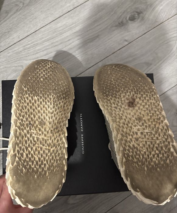 Giuseppe Zanotti Urchin Python