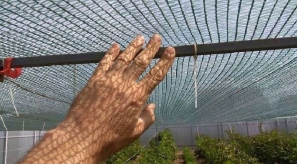 Quyoshni to'suvchi soya setka 55%