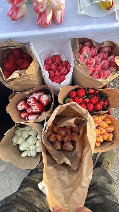 Тюльпаны в розницу 150 тг