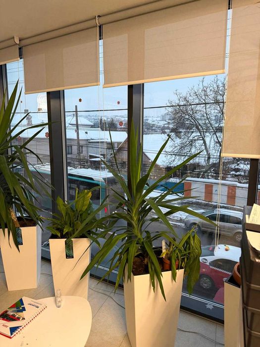 Inchiriez spatii birou