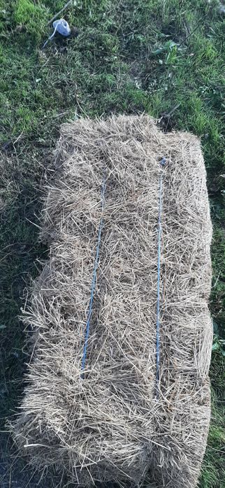 Vand baloti de fan foarte buni.