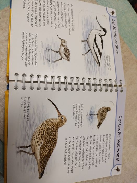 Книга енциклопедия на немски език