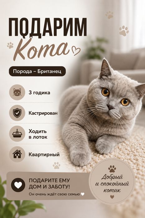 Бесплатно добрые руки