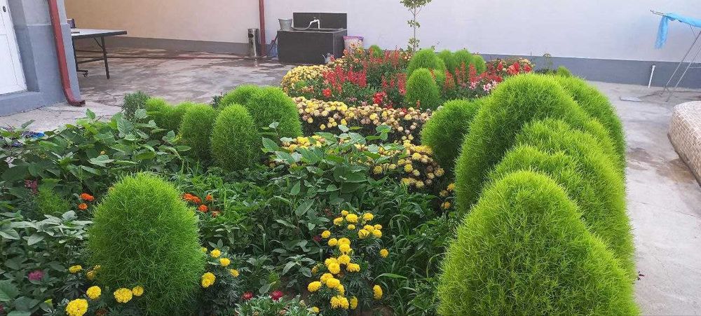 Оилавий шинам дача