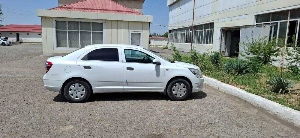 Cobalt oq holati ideal