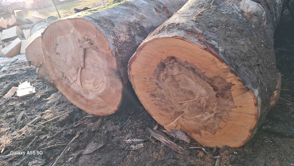 Lemne de foc-fag și brad.