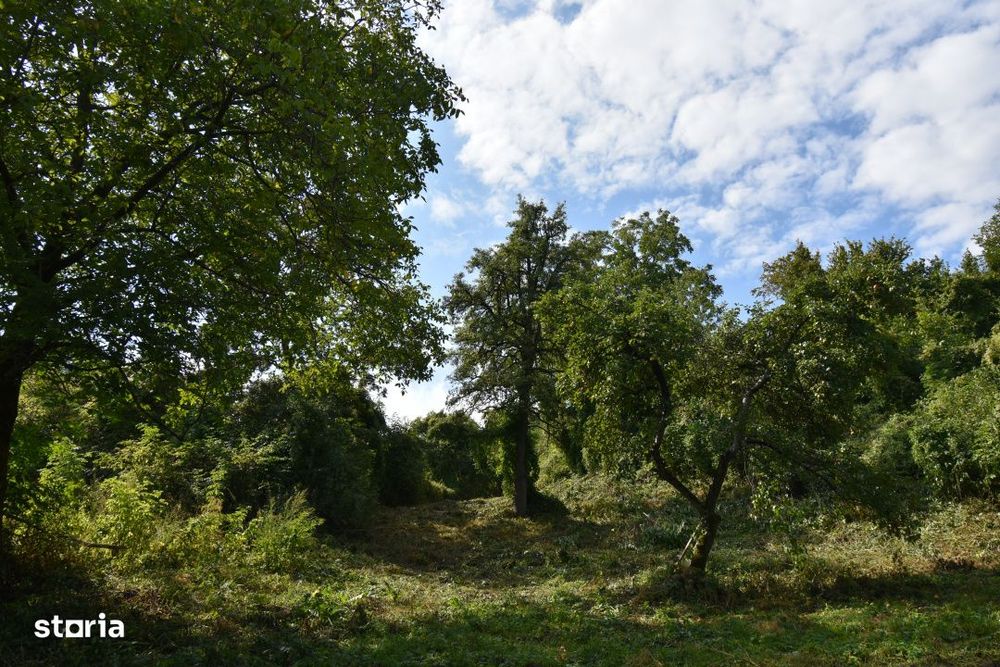 Casa demolabila in sat Gheorghieni (com Feleacu) teren 1547mp intravil