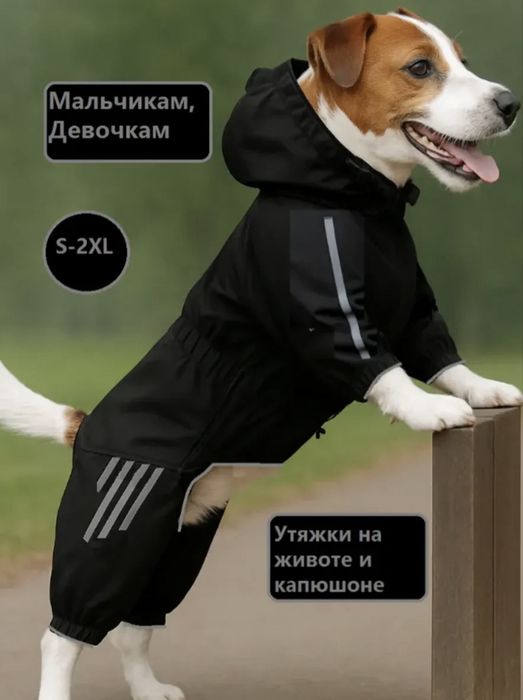 Продам два костюмчика для собак