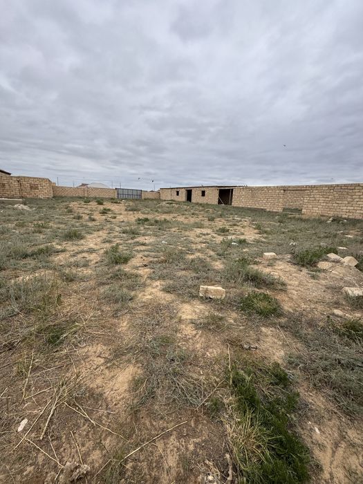 Мал кора сатылады