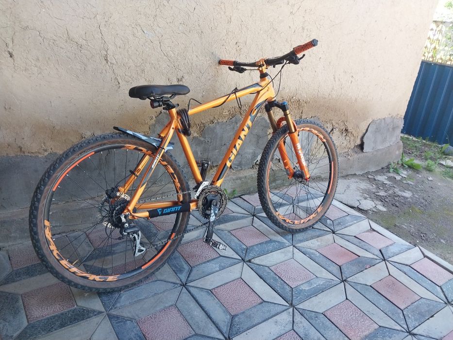 Giant rincon disc 2024