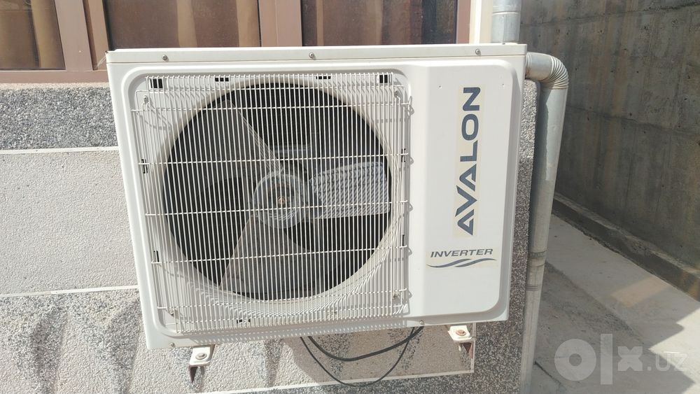 24 kanditsioner. Avalon