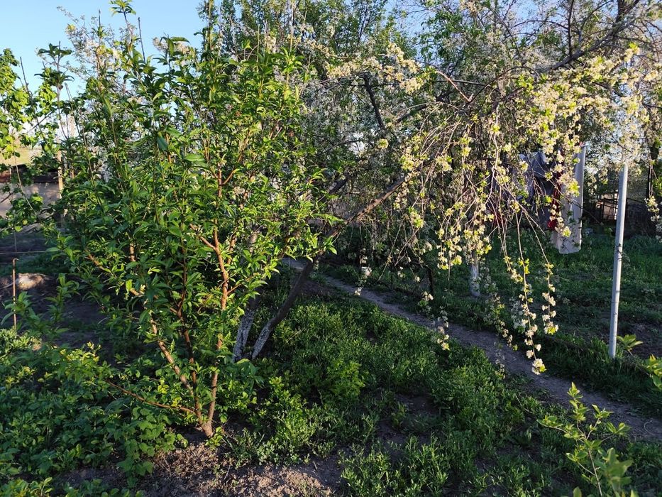 Продаётся уютный дом