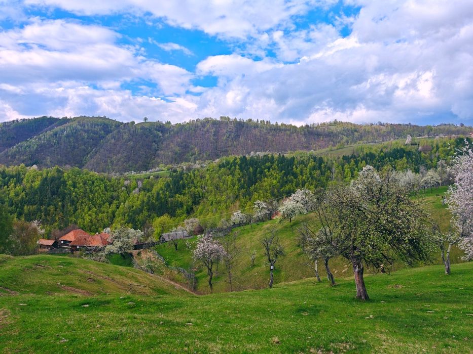 Vând casă locuibilă cu teren aferent  în Satul Alun(Comuna Boșorod)