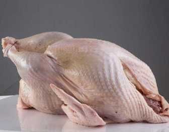 Мясо Домашнего Бройлера