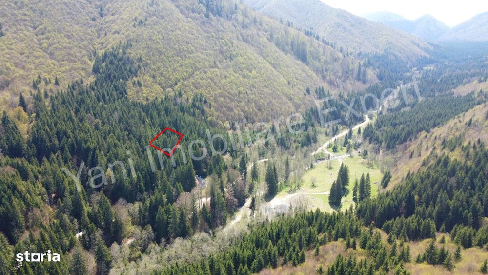 Teren de vânzare pe Valea Vâlsanului, judet Argeș.