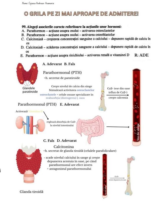 Ofer meditații la biologie pentru bac și admitere
