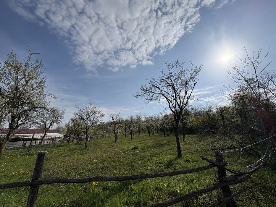 TEREN + CASĂ + LIVADĂ | 5200 mp ideal investietie sau locuinta
