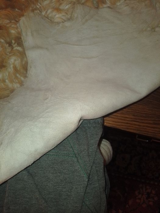 Овчина шкура мех