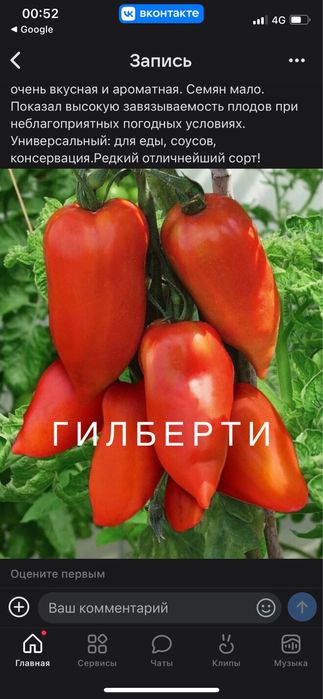 Семена помидор редкие сорта