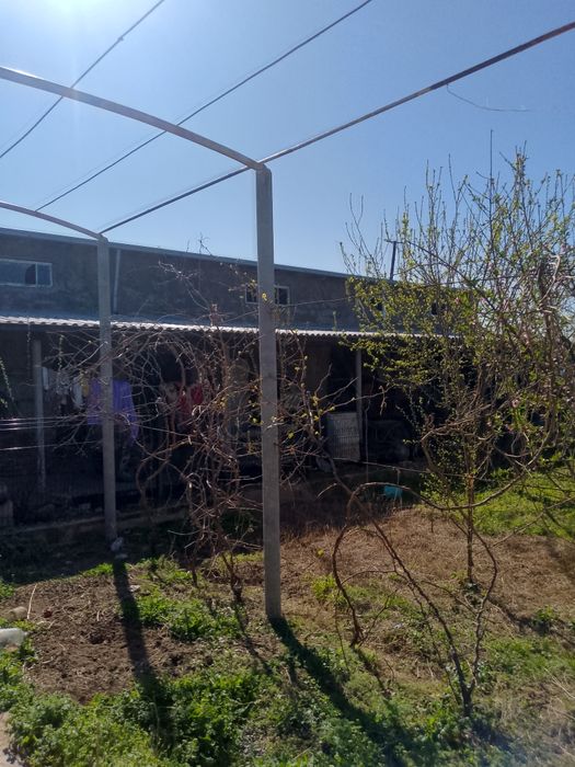 Туйтепа Дачасида 8 сотик мини Ферма сотилади хамма шароитлари килинган