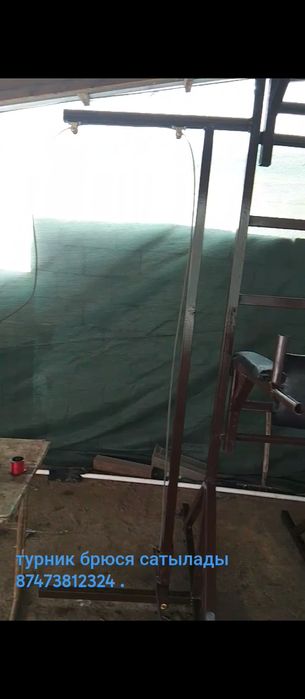 Турник брюся 100