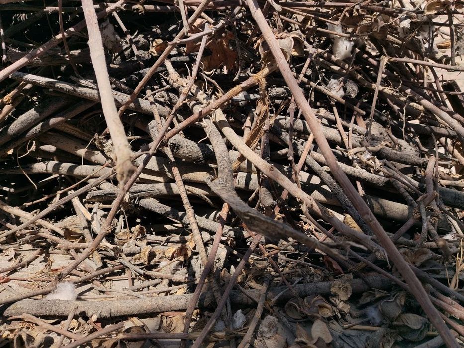 Утин срочно сотилади