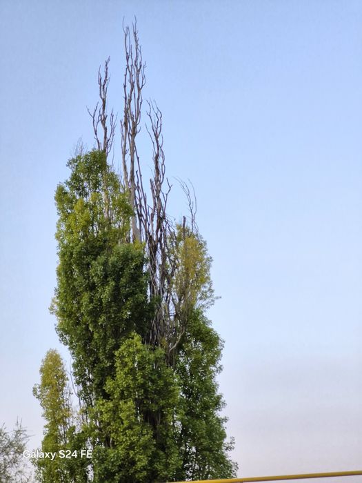 Samsung s24 fe 8/256