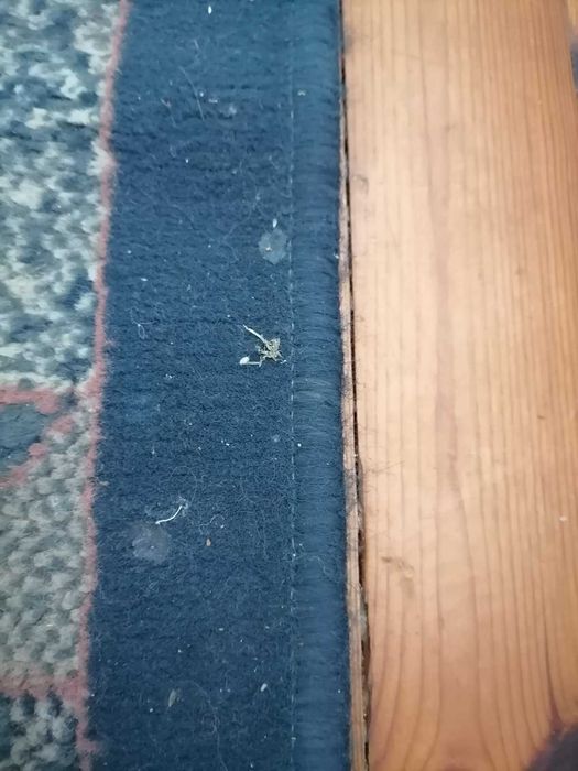 Килим в синята гама