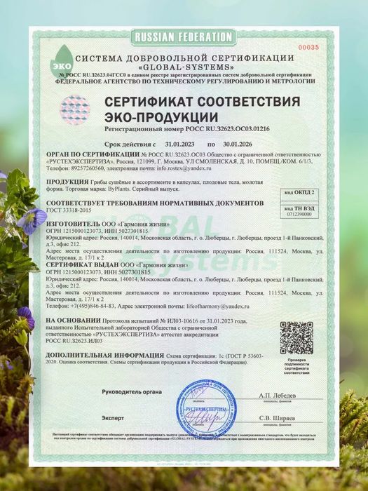Lion's mane, он же Ежевик ежовик Гребечатый - 50% мицелий 50 плоды