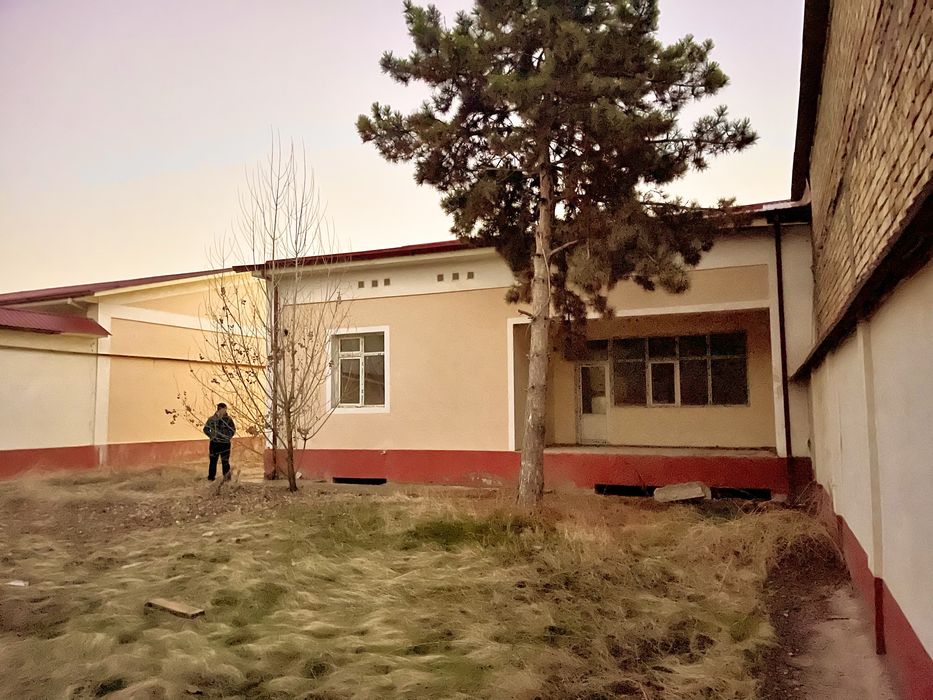 Амир Темур Махалла