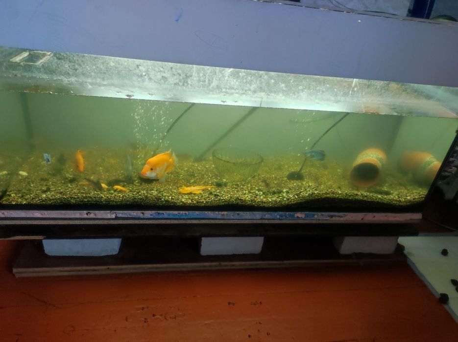 Продам аквариум на 500 литров