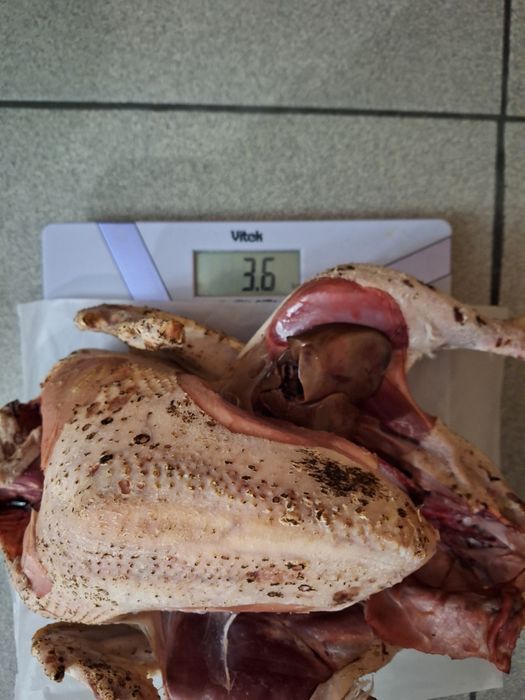 Мясо диетическое индейки